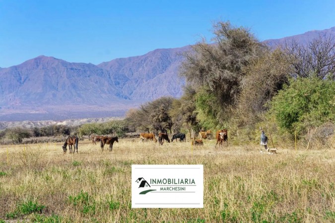 HERMOSA FINCA "LA NORIA" San Carlos